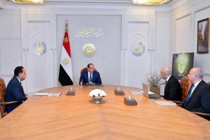 Al-Sisi pushes AI integration, expansion of technical schools