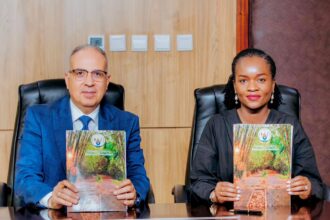 Egypt and Rwanda agree executive action plan for water management projects